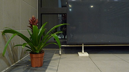 2011-02-13-1823.jpg