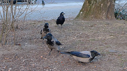 2011-02-24-1608.jpg