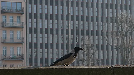 2011-02-26-1533.jpg