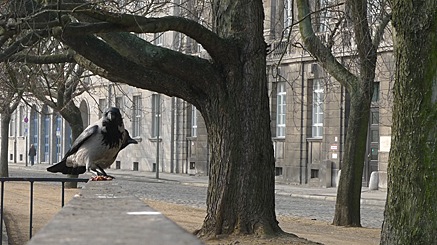 2011-02-27-1415.jpg
