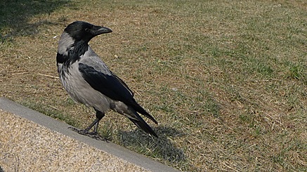2011-02-28-1430.jpg