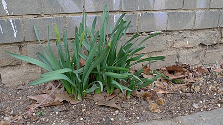 Plattenbaublog » Bald!