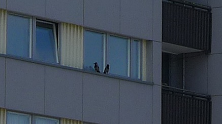 2011-03-22-1215.jpg