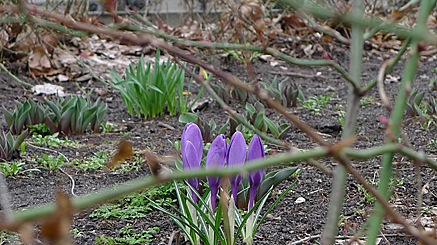 2011-03-26-1200.jpg