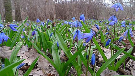 2011-03-26-1506.jpg