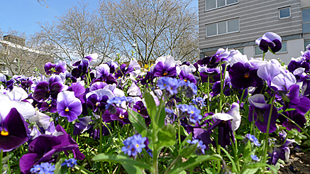 2011-04-09-1440b.jpg