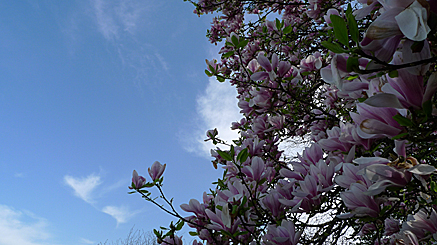 2011-04-09-1552.jpg