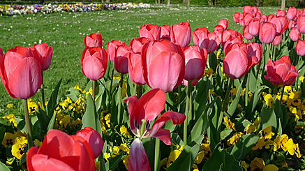 2011-04-09-1821.jpg