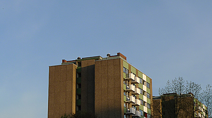 2011-04-09-1921.jpg