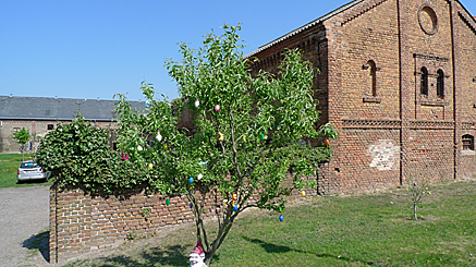 2011-04-24-1133.jpg