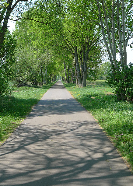 2011-04-24-1201.jpg