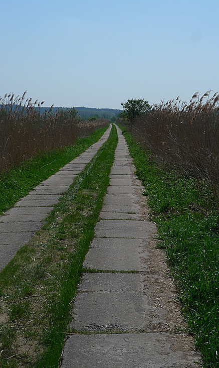 2011-04-24-1209.jpg