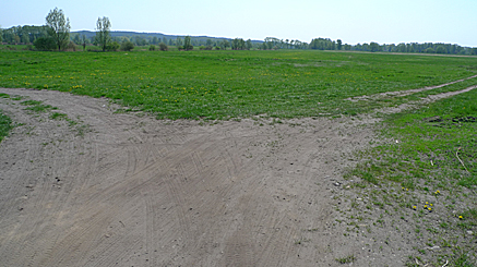 2011-04-24-1211.jpg
