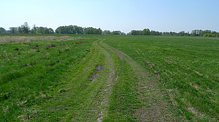 2011-04-24-1214.jpg