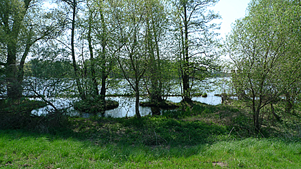 2011-04-24-1216.jpg