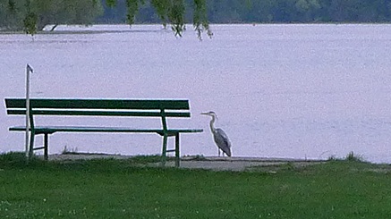 2011-04-24-2026.jpg