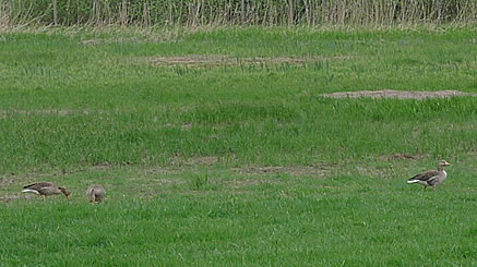2011-04-25-1211.jpg