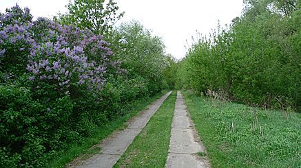 2011-04-25-1240.jpg
