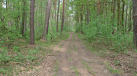 2011-04-25-1246.jpg