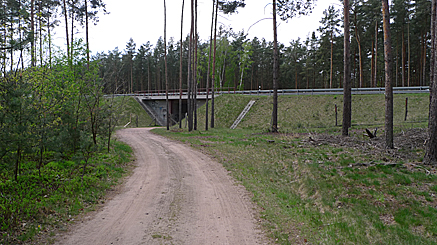 2011-04-25-1252.jpg