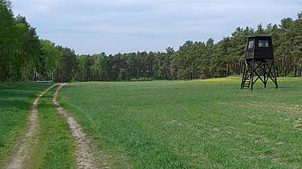 2011-04-25-1302.jpg