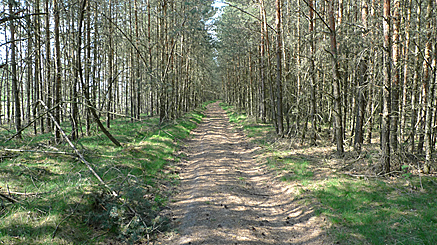 2011-04-25-1323.jpg