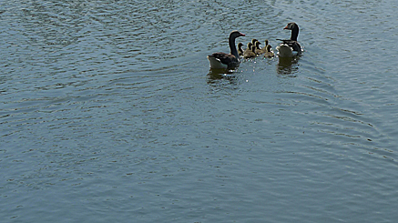2011-04-25-1330b.jpg