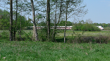 2011-04-25-1357.jpg