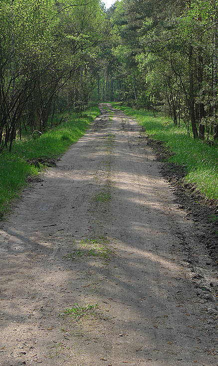 2011-04-25-1620.jpg