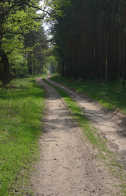 2011-04-25-1623.jpg