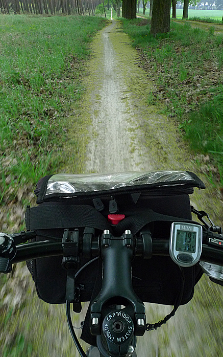 2011-04-25-1630.jpg