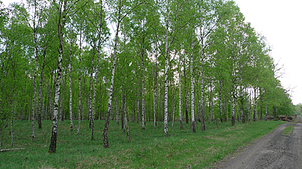 2011-04-25-1715.jpg