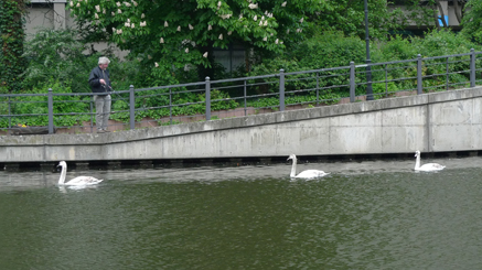 2011-05-03-1713.jpg