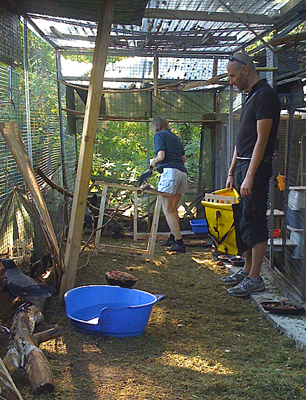 2011-05-29-1824.jpg