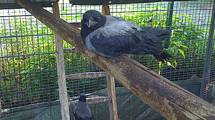 2011-05-29-1835.jpg
