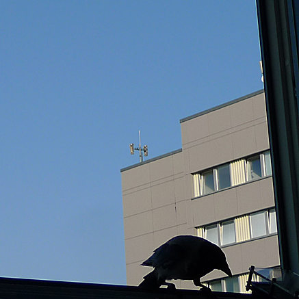 2011-08-26-0810.jpg