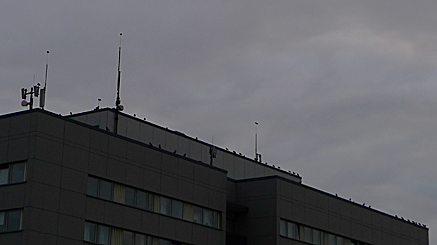 2011-08-29-1934.jpg