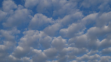 2011-09-014-0744.jpg