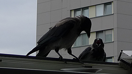 2011-09-10-1353d.jpg