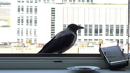 2011-09-16-0857b.jpg