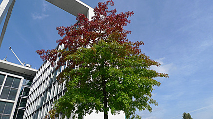 2011-09-20-1352.jpg