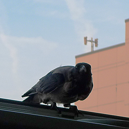 2011-09-26-0751.jpg