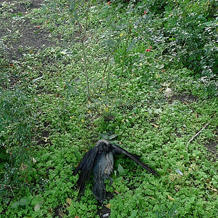 2011-10-07-0953.jpg