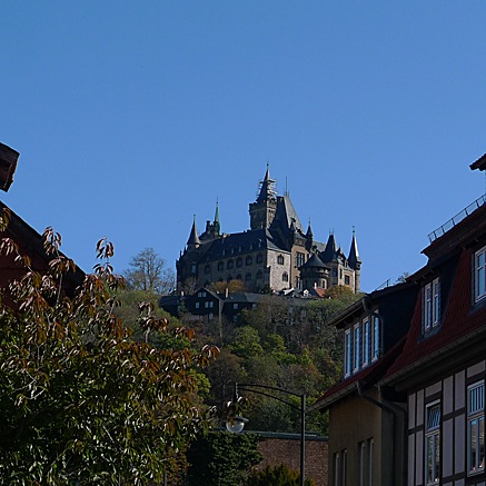 2011-10-23-1246.jpg
