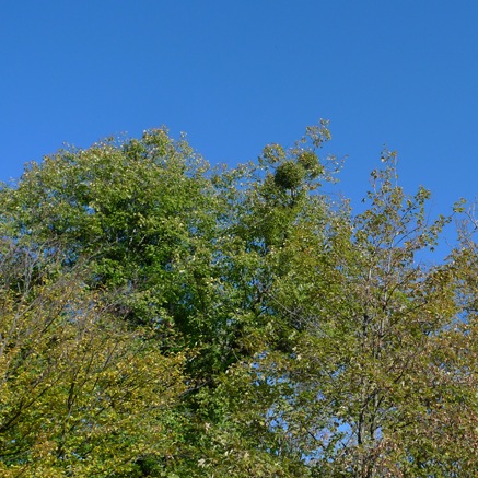 2011-10-23-1253.jpg