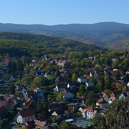 2011-10-23-1307.jpg