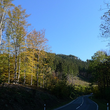 2011-10-23-1435.jpg