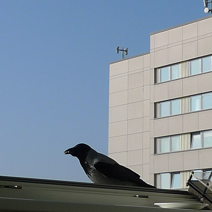 2011-10-29-1313.jpg