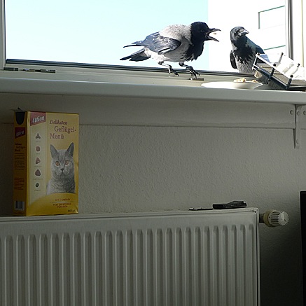 2011-11-13-1117.jpg