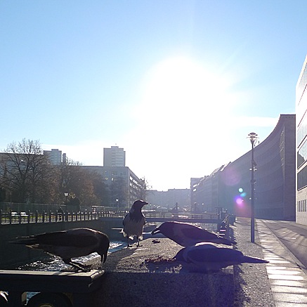 2011-11-25-0958.jpg